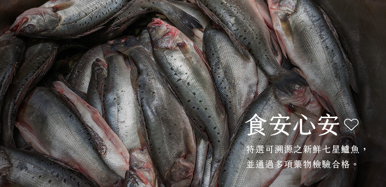 無刺鱸魚切片 內容圖 5